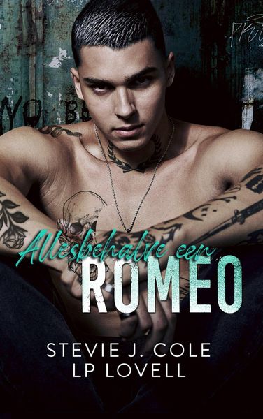 Produktbild: Allesbehalve een romeo (Dayton, #3)