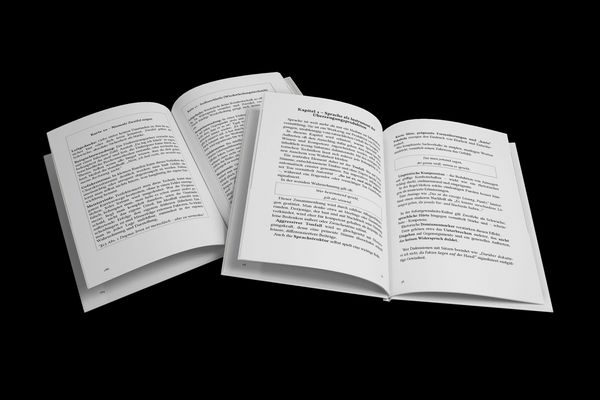 Produktbild: Kenntnis ohne Wissen &ndash; 30 Regeln zur sofortigen Gewissheit (Ein V.F.E.G. &ndash; Buch)
