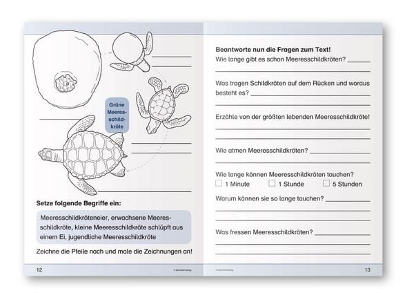 Produktbild: Langhans, K: Ich kenne die Meeresschildkröte - Lebenszyklus