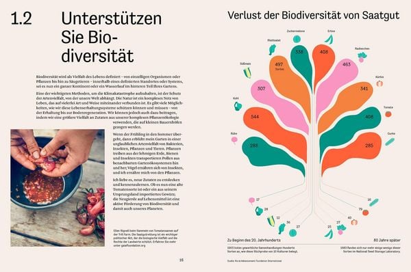 Produktbild: Essen f&uuml;r die Zukunft