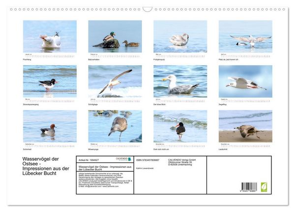 Produktbild: Wasserv&ouml;gel der Ostsee - Impressionen aus der L&uuml;becker Bucht (Wandkalender 2026 DIN A2 quer), CALVENDO Monatskalender