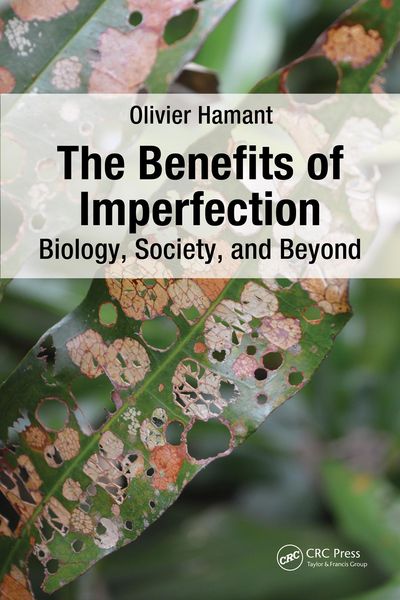 Produktbild: The Benefits of Imperfection