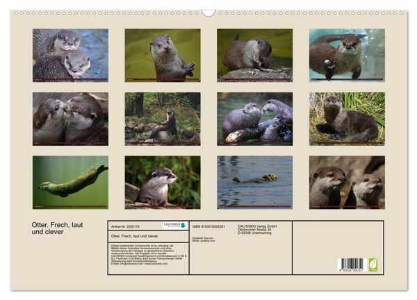 Produktbild: Otter. Frech, laut und clever (Wandkalender 2026 DIN A2 quer), CALVENDO Monatskalender
