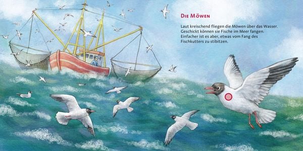Produktbild: Das Meer / Hör mal Band 8
