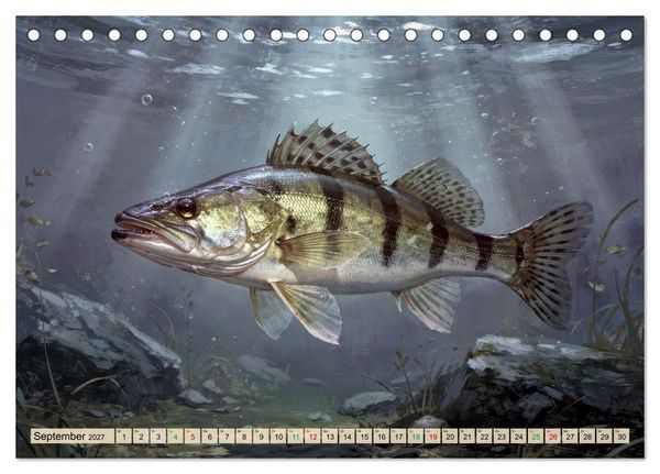 Produktbild: Talsperren - Zander (Tischkalender 2027 DIN A5 quer), CALVENDO Monatskalender
