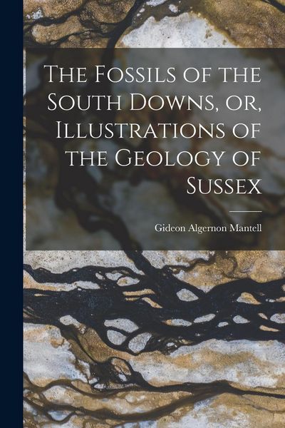 Produktbild: The Fossils of the South Downs, or, Illustrations of the Geology of Sussex