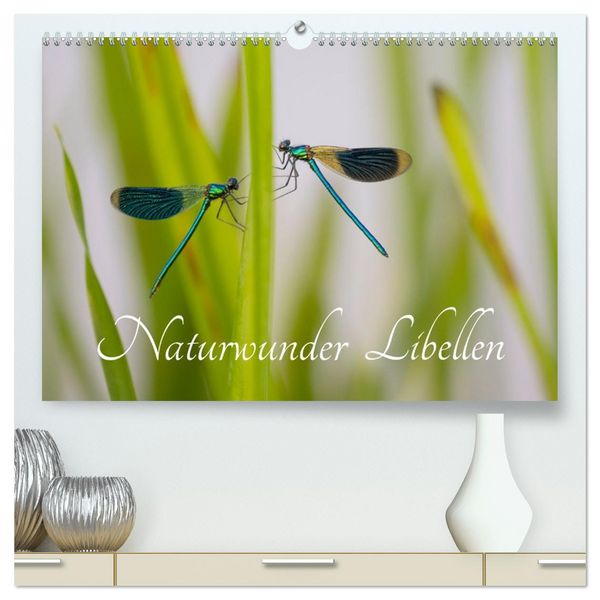 Produktbild: Naturwunder Libellen (hochwertiger Premium Wandkalender 2026 DIN A2 quer), Kunstdruck in Hochglanz