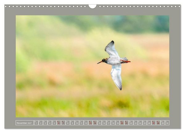 Produktbild: Limikolen - Watv&ouml;gel aus Europa (Wandkalender 2027 DIN A3 quer), CALVENDO Monatskalender