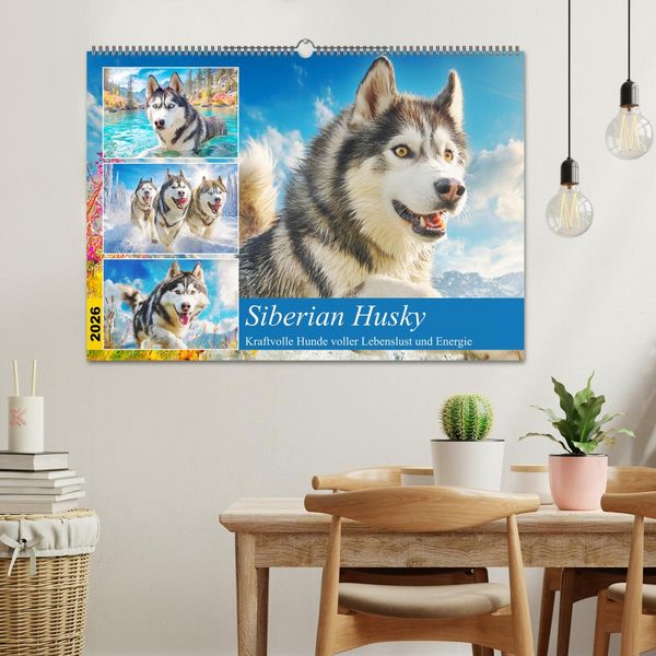 Produktbild: Siberian Husky. Kraftvolle Hunde voller Lebenslust und Energie (Wandkalender 2026 DIN A2 quer), CALVENDO Monatskalender