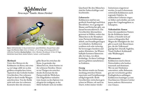 Produktbild: Das kleine Buch: Singv&ouml;gel