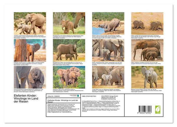 Produktbild: Elefanten Kinder: Winzlinge im Land der Riesen (hochwertiger Premium Wandkalender 2026 DIN A2 quer), Kunstdruck in Hochglanz