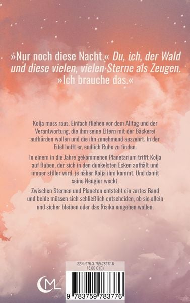 Produktbild: Nach dem Sturm die Stille