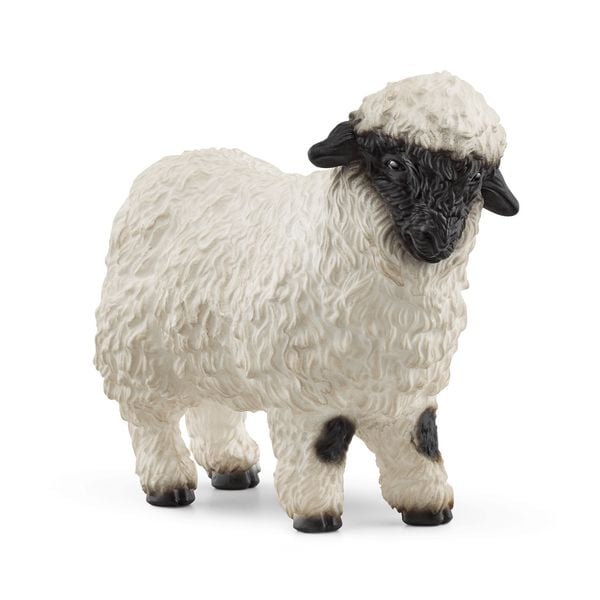 Produktbild: schleich&reg; 13965 Schwarznasenschaf