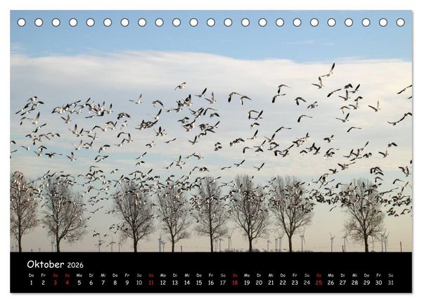 Produktbild: Schrei der Wildg&auml;nse (Tischkalender 2026 DIN A5 quer), CALVENDO Monatskalender