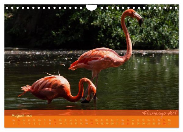 Produktbild: Flamingo Art 2026 (Wandkalender 2026 DIN A4 quer), CALVENDO Monatskalender