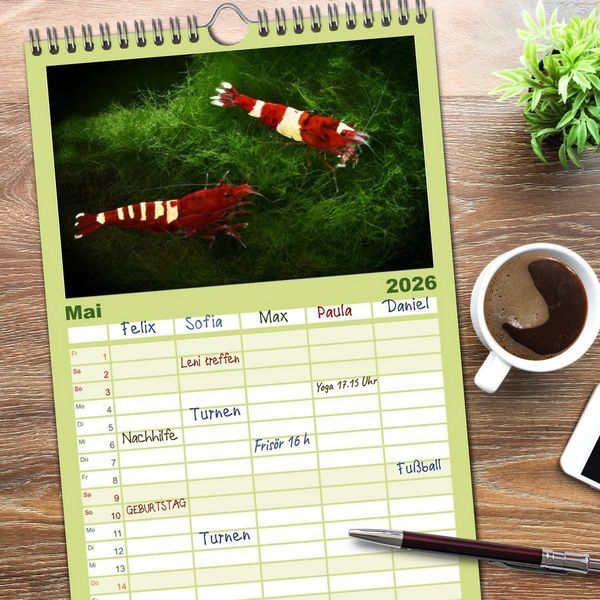 Produktbild: Familienplaner 2026 - Dwarf Shrimps - kleine Garnelen mit 5 Spalten (Wandkalender, 21 x 45 cm) CALVENDO