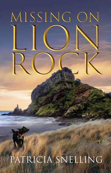 Produktbild: Missing On Lion Rock
