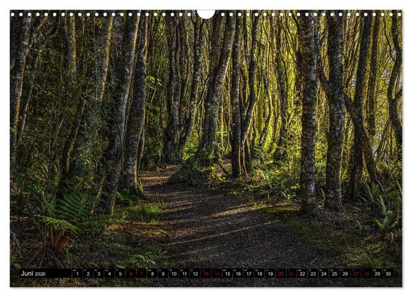 Produktbild: Trauminseln Neuseeland (Wandkalender 2026 DIN A3 quer), CALVENDO Monatskalender