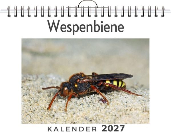 Produktbild: Wespenbiene
