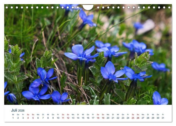 Produktbild: Die Dolomiten - Wanderung durch den Naturpark Schlern-Rosengarten (Wandkalender 2026 DIN A4 quer), CALVENDO Monatskalender