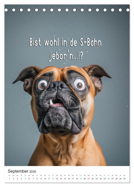 Produktbild: Lustige Tiere (Tischkalender 2026 DIN A5 hoch), CALVENDO Monatskalender