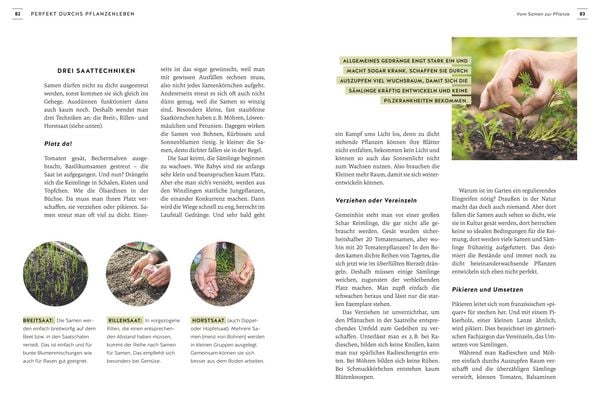Produktbild: Pflanzen endlich verstehen