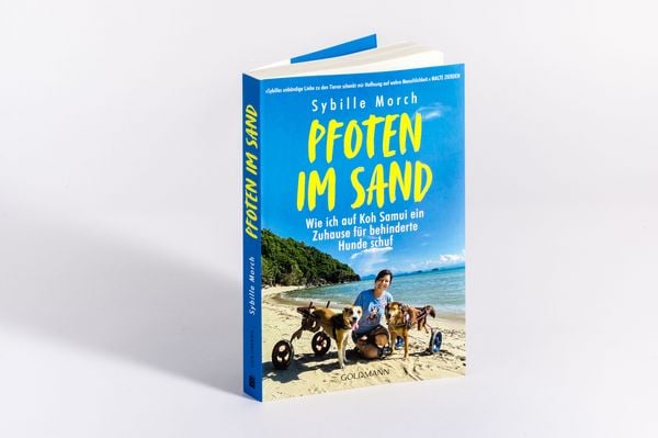 Produktbild: Pfoten im Sand