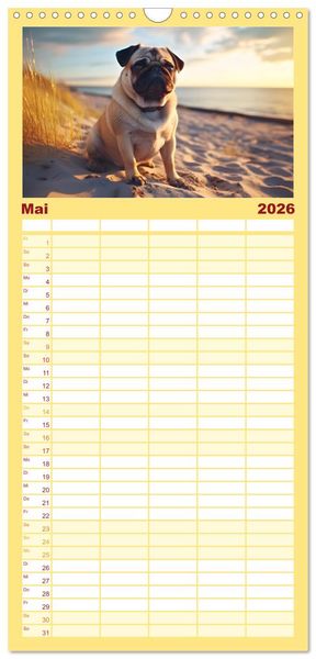 Produktbild: Familienplaner 2026 - Kleine Helden - eine Hommage an die Mopsrasse mit 5 Spalten (Wandkalender, 21 x 45 cm) CALVENDO