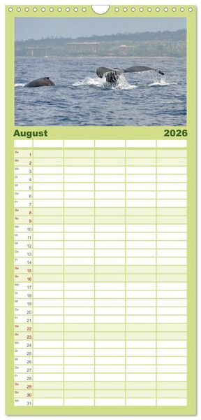 Produktbild: Familienplaner 2026 - Hawaii - Land of Aloha mit 5 Spalten (Wandkalender, 21 x 45 cm) CALVENDO
