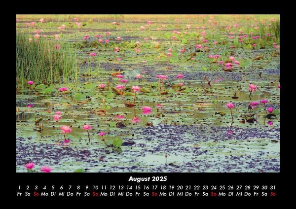 Produktbild: Rosen-Kalender 2025 Fotokalender DIN A3