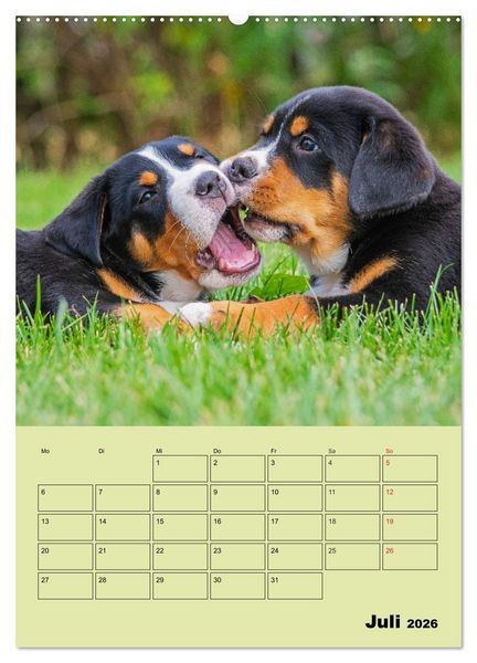 Produktbild: Familienplaner Gro&szlig;er Schweizer Sennenhund (hochwertiger Premium Wandkalender 2026 DIN A2 hoch), Kunstdruck in Hochglanz