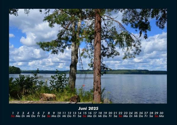 Produktbild: B&auml;ume 2025 Fotokalender DIN A4