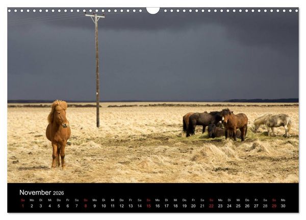Produktbild: Eindr&uuml;cklich Island 2026 (Wandkalender 2026 DIN A3 quer), CALVENDO Monatskalender