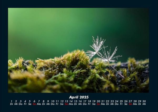 Produktbild: Bilder aus der Natur 2025 Fotokalender DIN A4