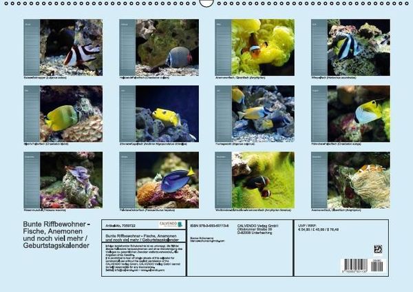 Produktbild: Bunte Riffbewohner - Fische, Anemonen und noch viel mehr (Wandkalender immerw&auml;hrend DIN A2 quer)