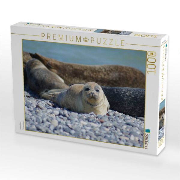 Produktbild: CALVENDO Puzzle Robben Baby | 1000 Teile Lege-Gr&ouml;&szlig;e 64x48cm Foto-Puzzle f&uuml;r gl&uuml;ckliche Stunden