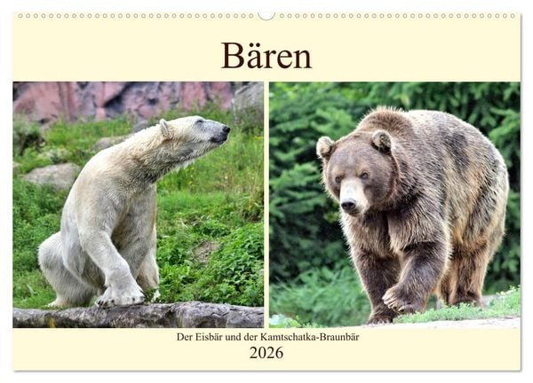 Produktbild: B&auml;ren - Der Eisb&auml;r und der Kamtschatka-Braunb&auml;r (Wandkalender 2026 DIN A2 quer), CALVENDO Monatskalender