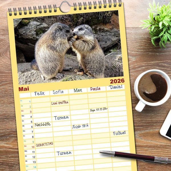 Produktbild: Familienplaner 2026 - Und ewig pfeift das Murmeltier mit 5 Spalten (Wandkalender, 21 x 45 cm) CALVENDO