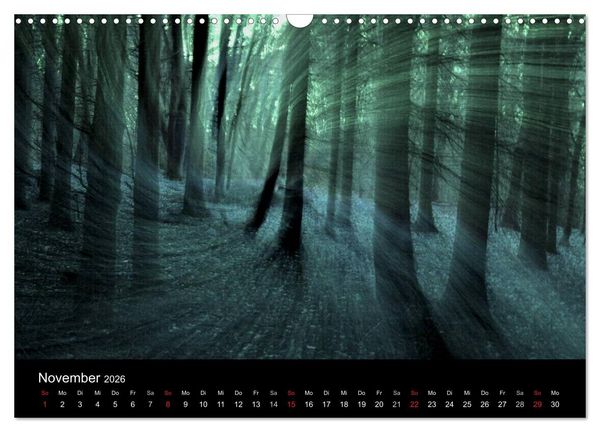 Produktbild: Magischer Wald (Wandkalender 2026 DIN A3 quer), CALVENDO Monatskalender