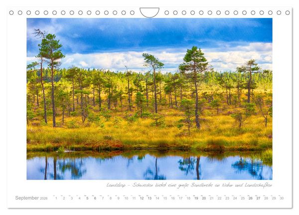Produktbild: Sehnsucht Schweden - Elche, Natur und Urlaubstr&auml;ume (Wandkalender 2026 DIN A4 quer), CALVENDO Monatskalender