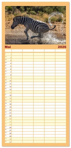 Produktbild: Familienplaner 2026 - Action in der Savanne mit 5 Spalten (Wandkalender, 21 x 45 cm) CALVENDO
