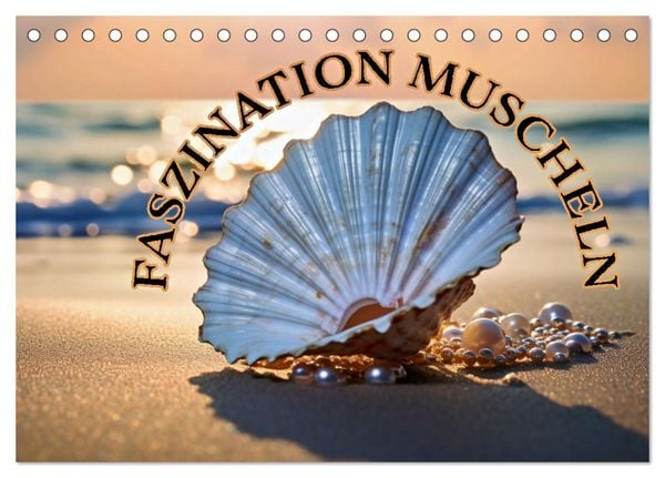 Produktbild: Faszination Muscheln (Tischkalender 2026 DIN A5 quer), CALVENDO Monatskalender