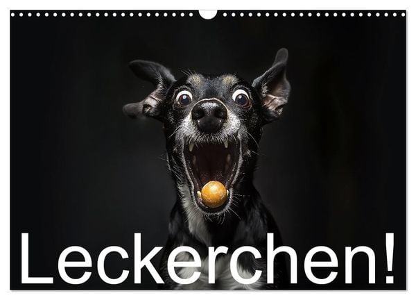 Produktbild: Leckerchen! (Wandkalender 2026 DIN A3 quer), CALVENDO Monatskalender
