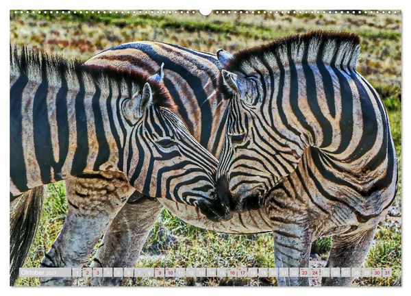 Produktbild: Namibia &ndash; Die Tierwelt vom Caprivi bis Etosha (hochwertiger Premium Wandkalender 2027 DIN A2 quer), Kunstdruck in Hochglanz
