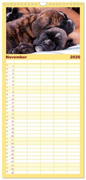 Produktbild: Familienplaner 2026 - Deutscher Boxer 2026 mit 5 Spalten (Wandkalender, 21 x 45 cm) CALVENDO