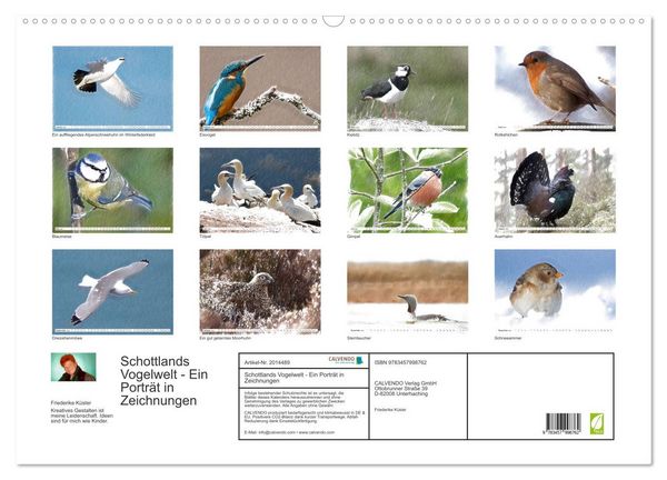 Produktbild: Schottlands Vogelwelt - Ein Portr&auml;t in Zeichnungen (Wandkalender 2026 DIN A2 quer), CALVENDO Monatskalender