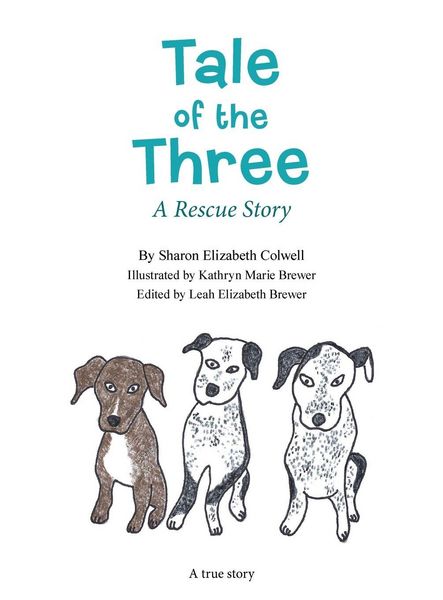 Produktbild: Tale of the Three