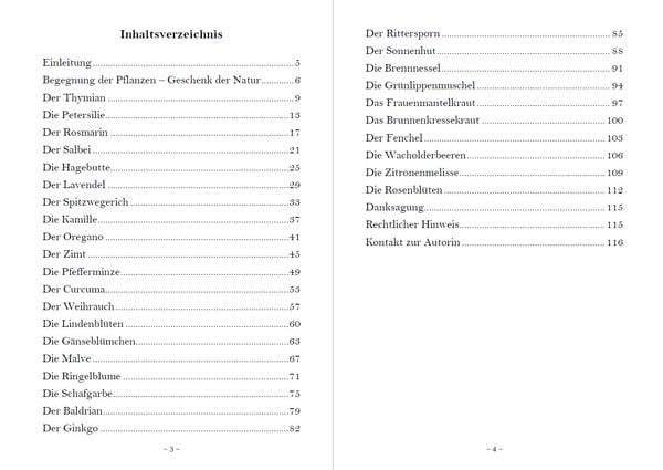Produktbild: Fantasiereisen zu den Kr&auml;ften der Natur