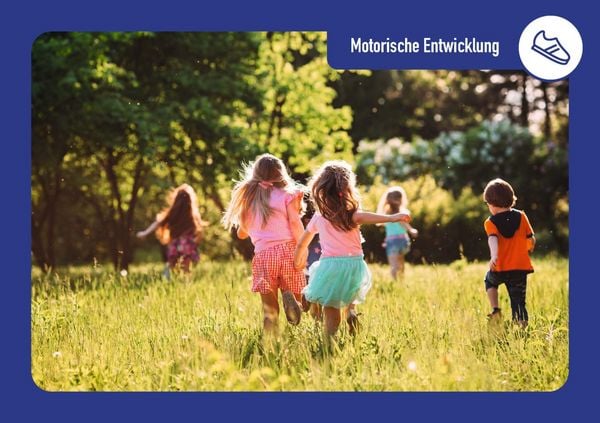 Produktbild: Meilensteine der kindlichen Entwicklung. Individualit&auml;t und Gesetzm&auml;&szlig;igkeiten in Entwicklungsphasen bei 3- bis 6-J&auml;hrigen