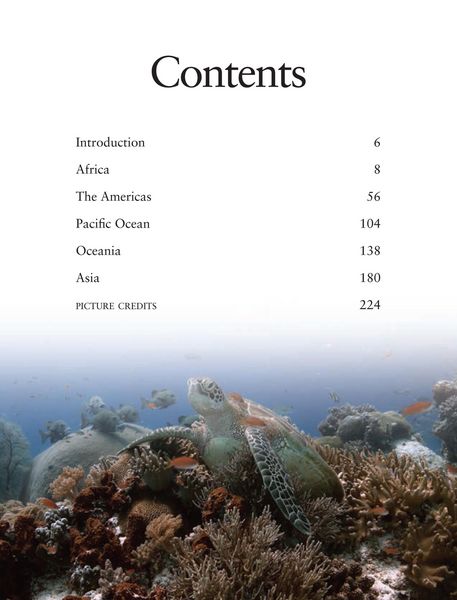 Produktbild: Reefs
